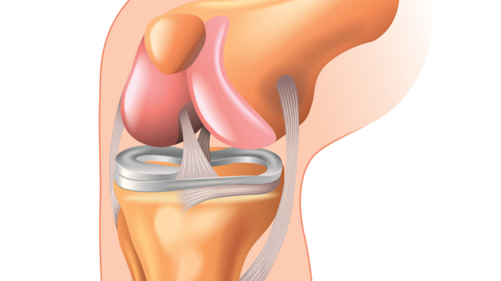 knee ligament injuries