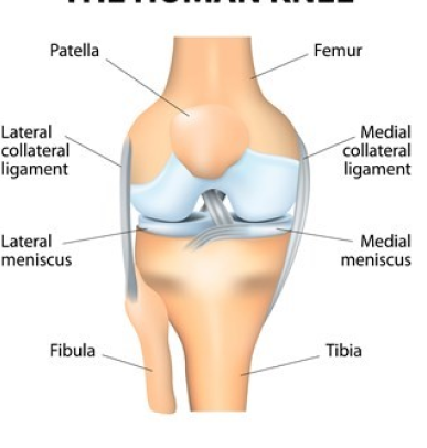 Degenerative Diseases