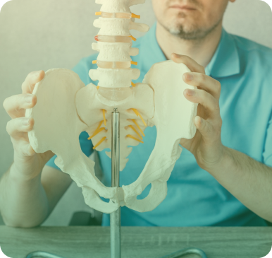 Hip Joint Replacement